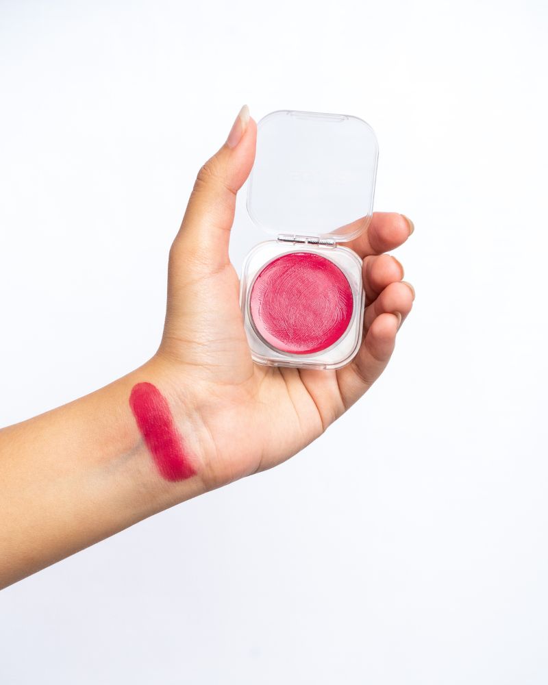 Disguise Cosmetics Lip & Cheek Tint (Blush Nude Dawn )