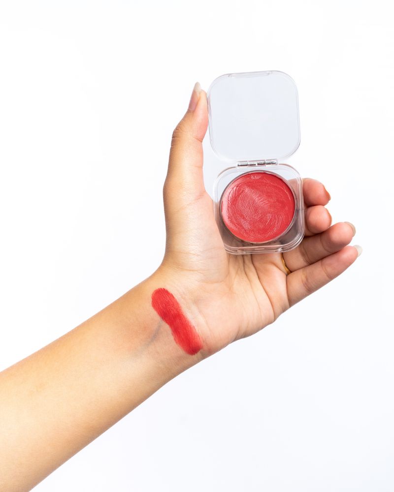 Disguise Cosmetics Lip & Cheek Tint (Brick Red Dusk )
