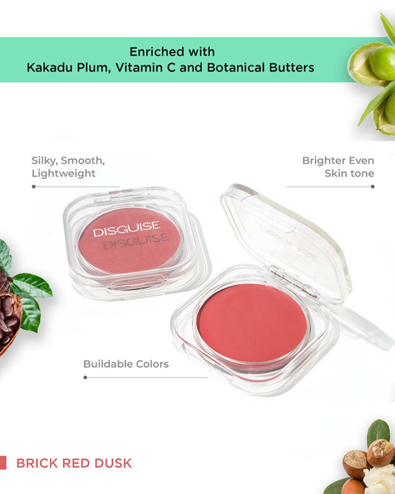 Disguise Cosmetics Lip & Cheek Tint (Brick Red Dusk )