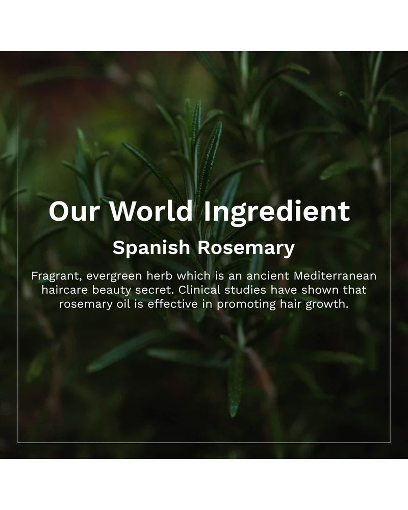 Pilgrim Spanish Rosemary & Biotin Anti-Hairfall Shampoo ( 200 ml ) ( Full Size )