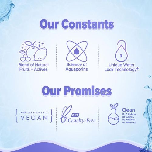 Aqualogica Illuminate+ Oil Free Moisturizer ( 100g )